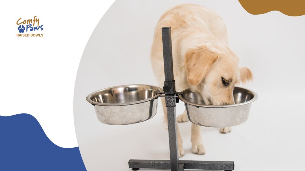 dog eating from adjustable dog bowl stand