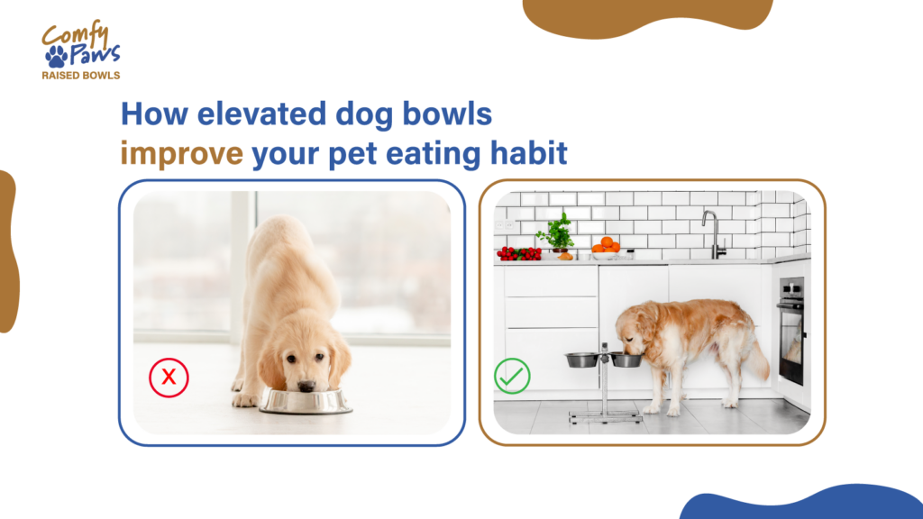 Elevated Dog Bowls - How They Improve Your Pet's Eating Habit