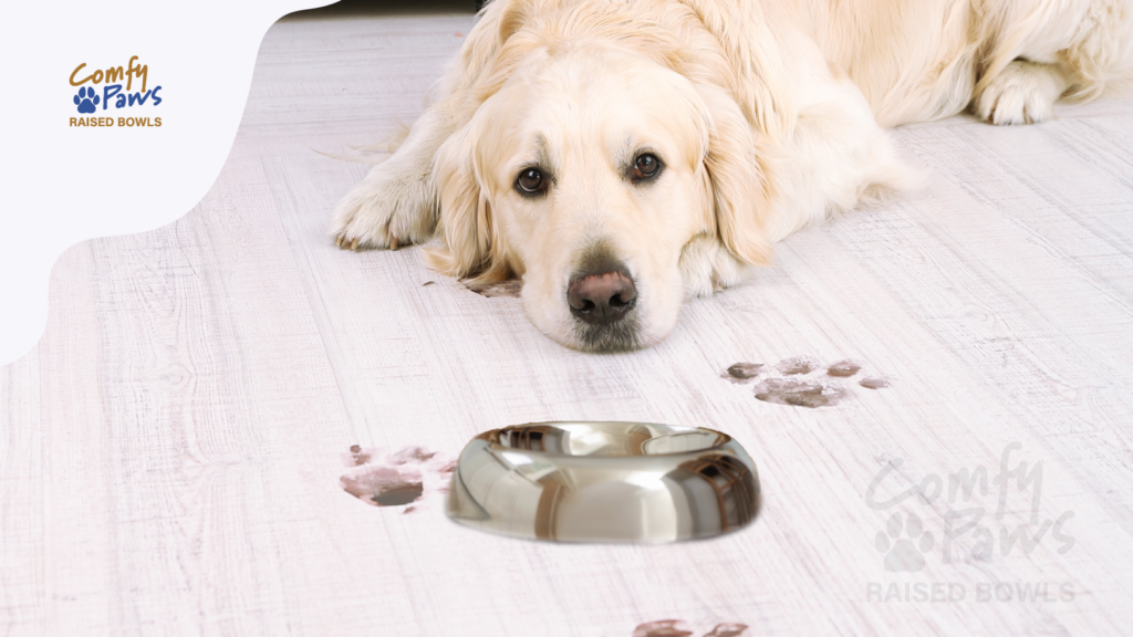 Sad dog looking at his food bowl