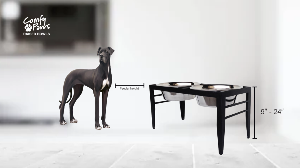 dog standing by raised dog bowls