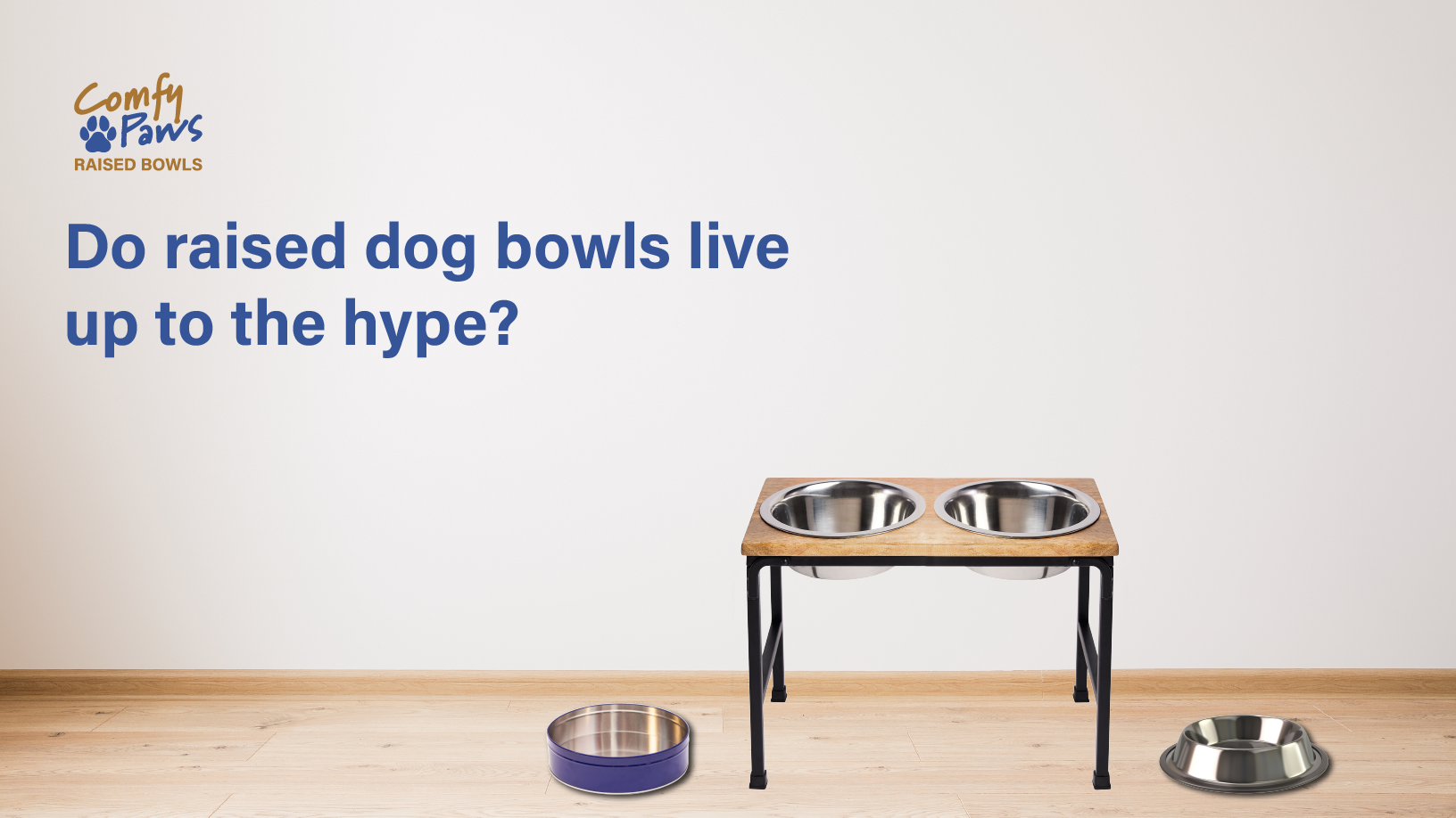 do raised dog bowls live up to the hype