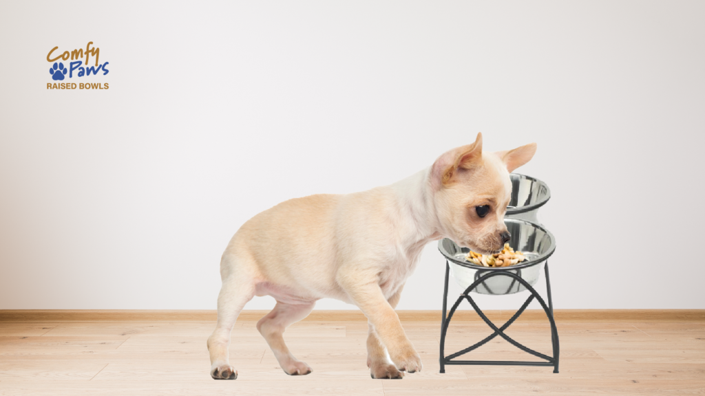 Are Elevated Dog Bowls Good for Small Dogs