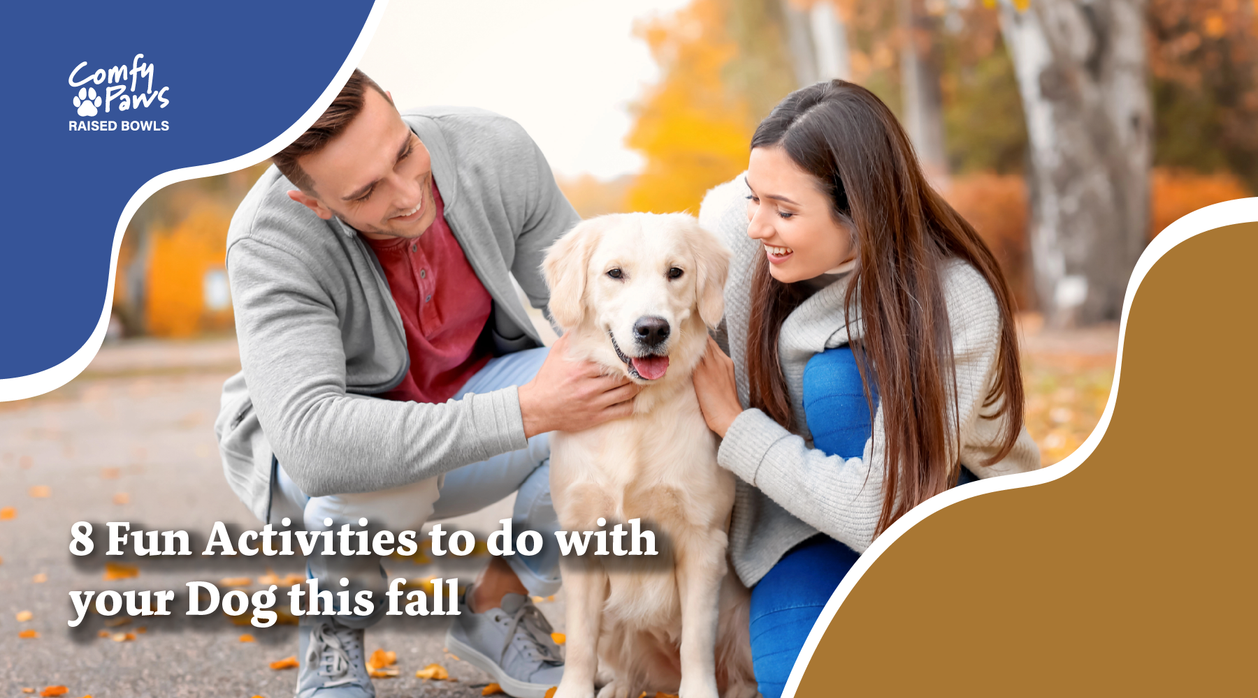 8 fun activities to do with your dog this fall