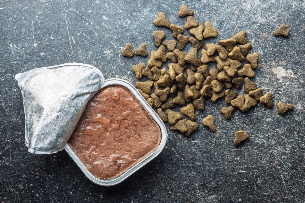 dog kibble and packaged dog food