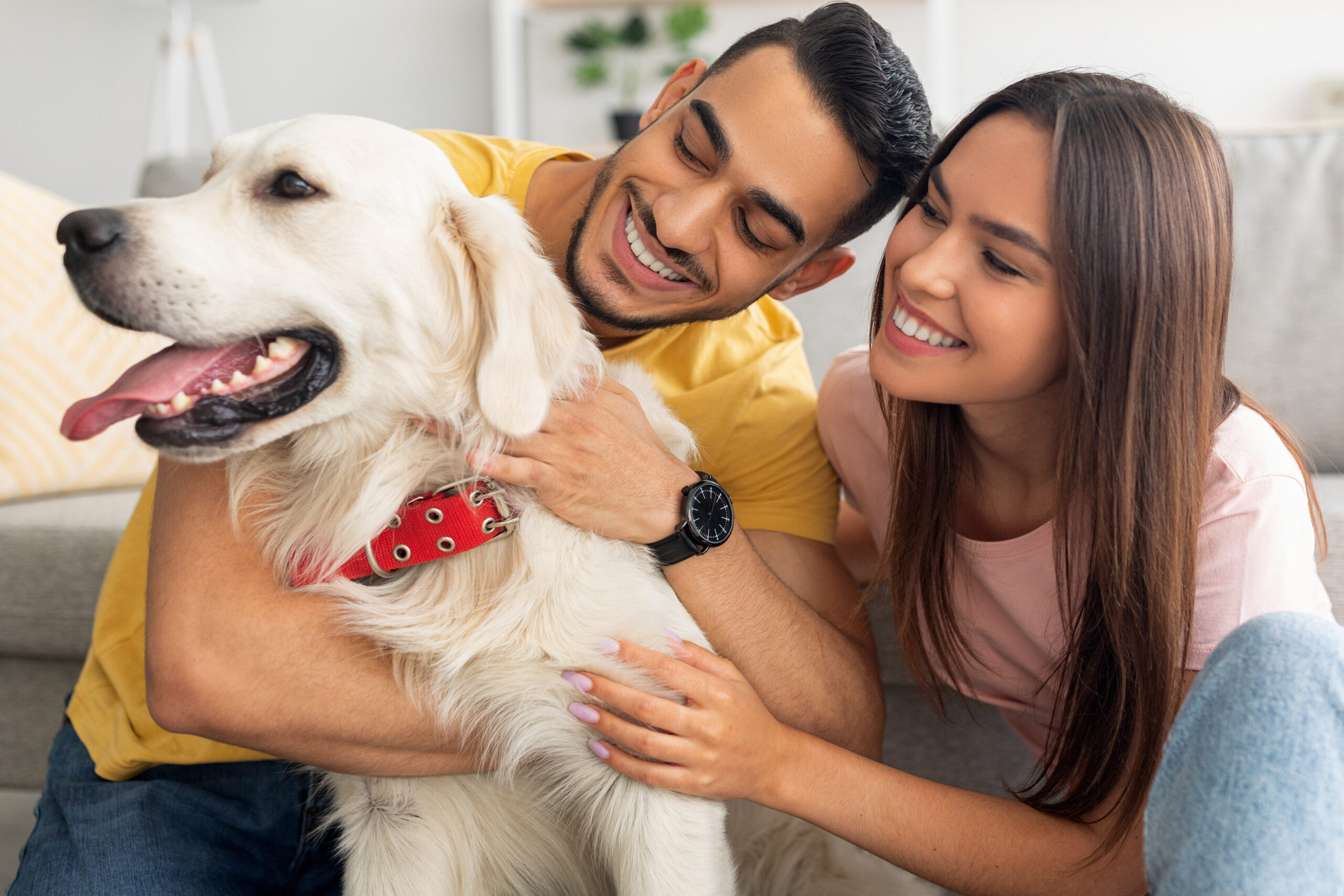 happy couple holding their dog