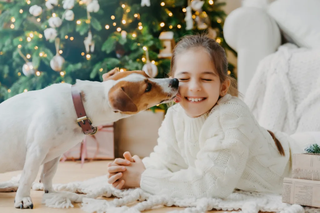 cute dog licking the face of smiling girl with christmas tree