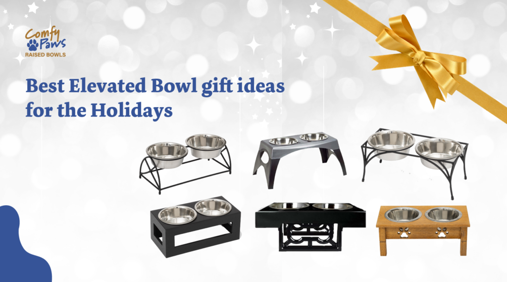 Best Elevated Bowl Gift Ideas for The Holidays