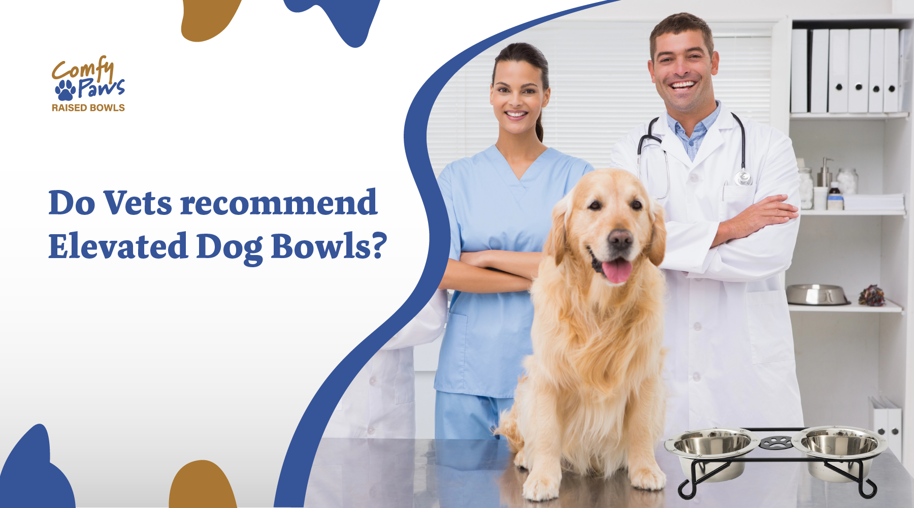 Do Vets Recommend Raised Dog Bowls