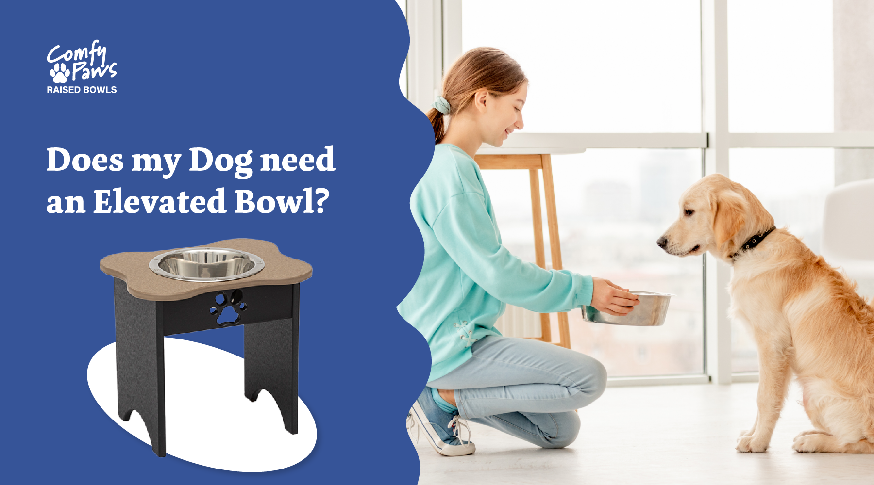 Does my dog need an elevated bowl