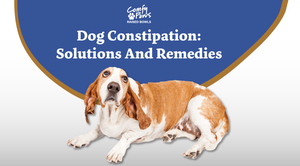 Dog Constipation - Solutions And Remedies