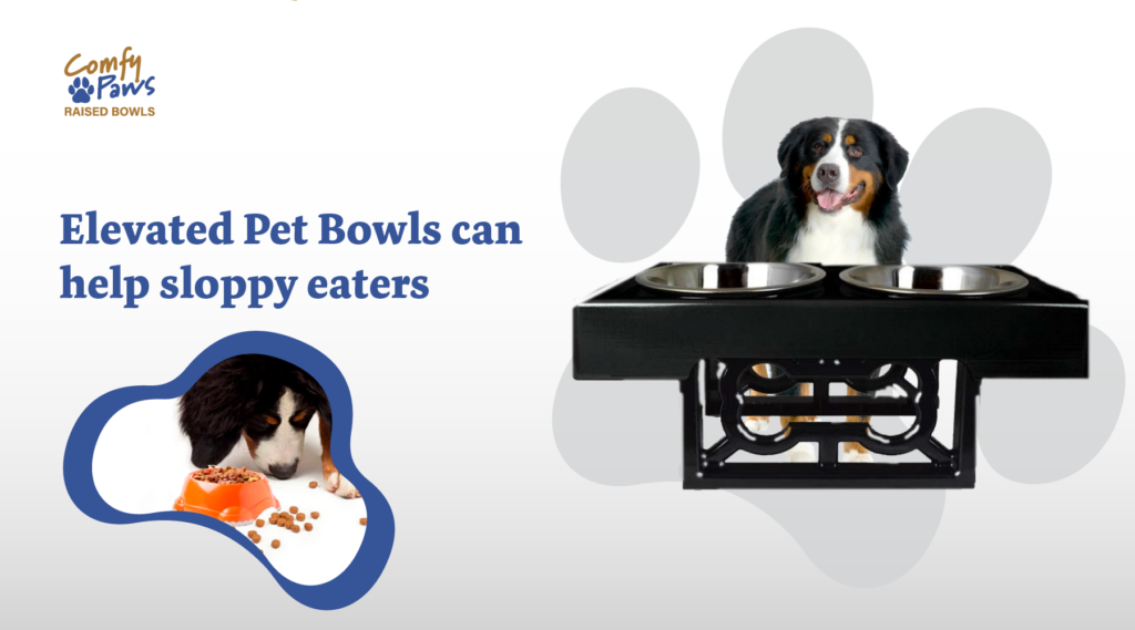 Elevated Pet Bowls Can Help Sloppy Eaters