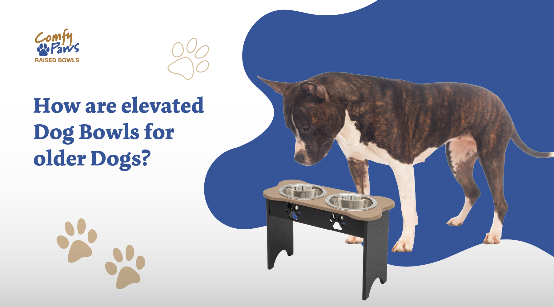 How Are Elevated Dog Bowls Better for Older Dogs