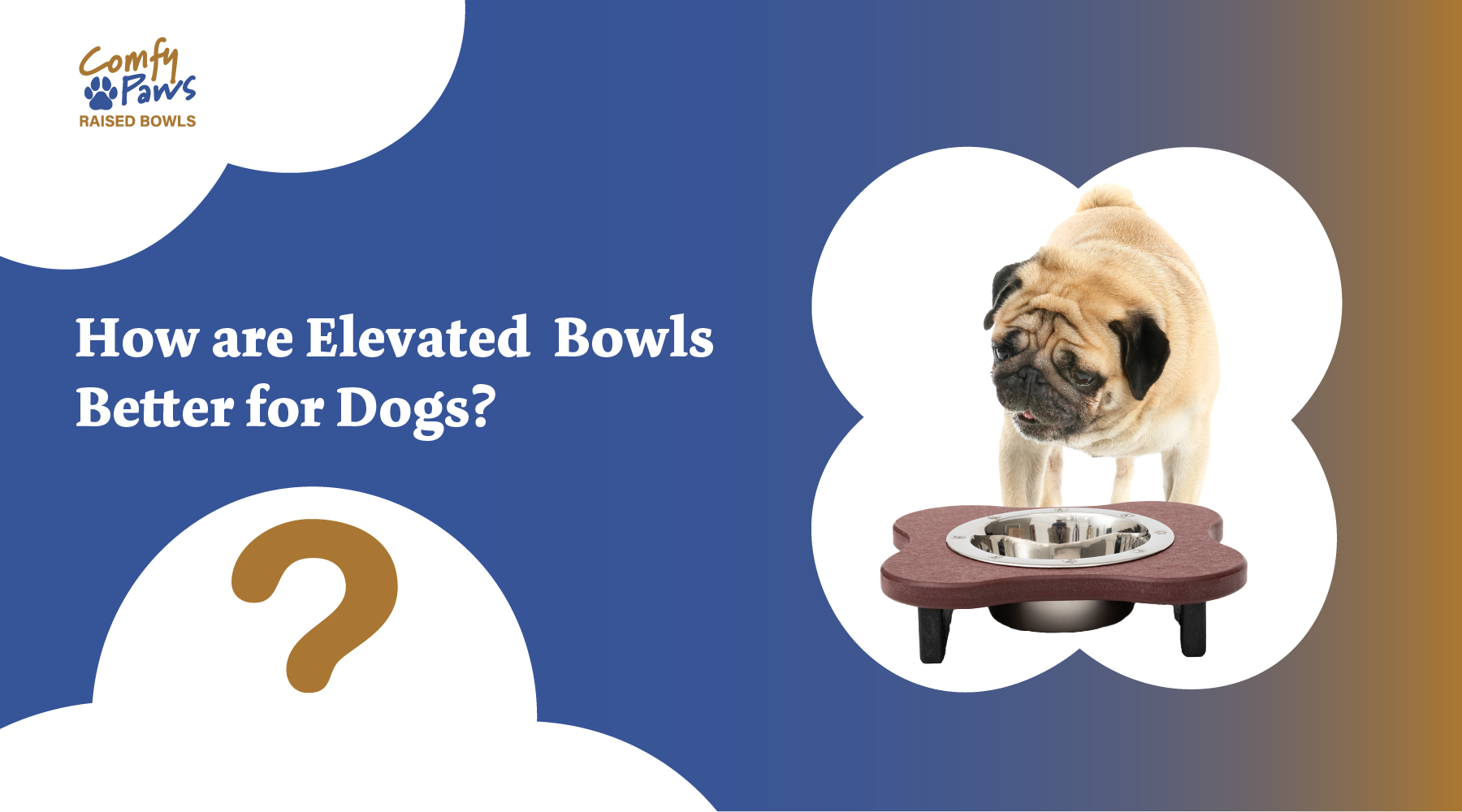 How are elevated bowls better for dogs