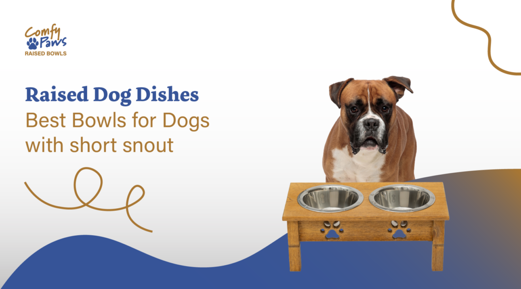 raised dog dishes - best bowls for dogs with short snouts