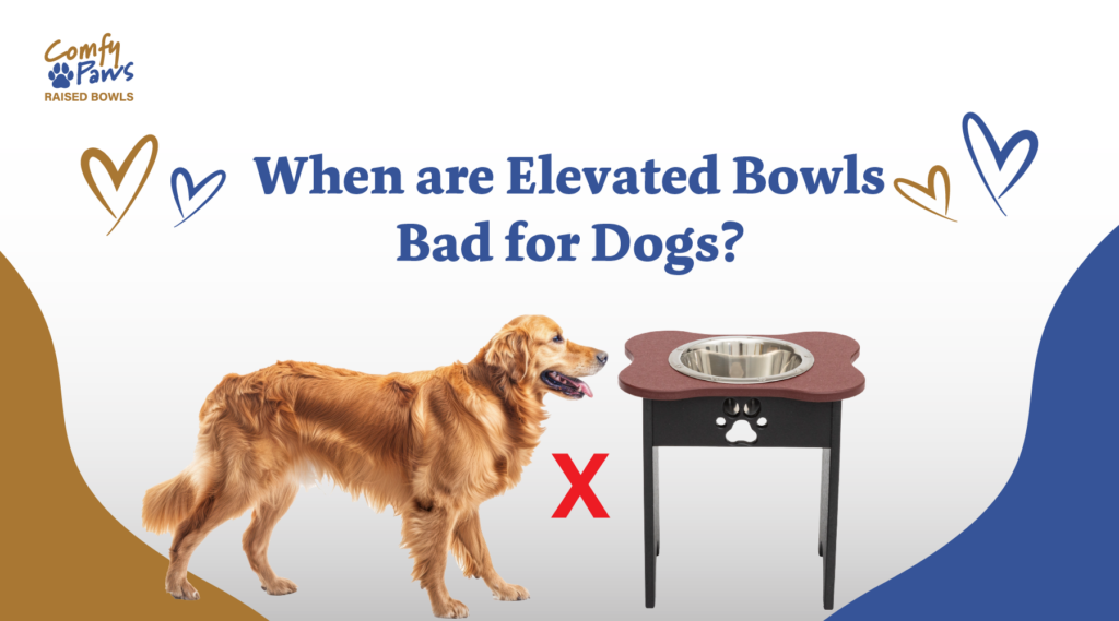 When Are Elevated Bowls Bad For Dogs