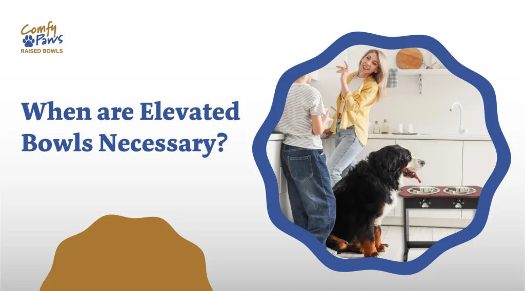 When Are Elevated Bowls Necessary