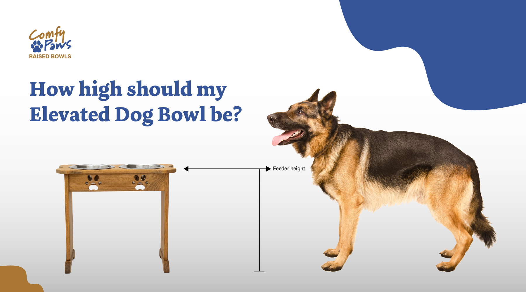 how high should my elevated dog bowl be